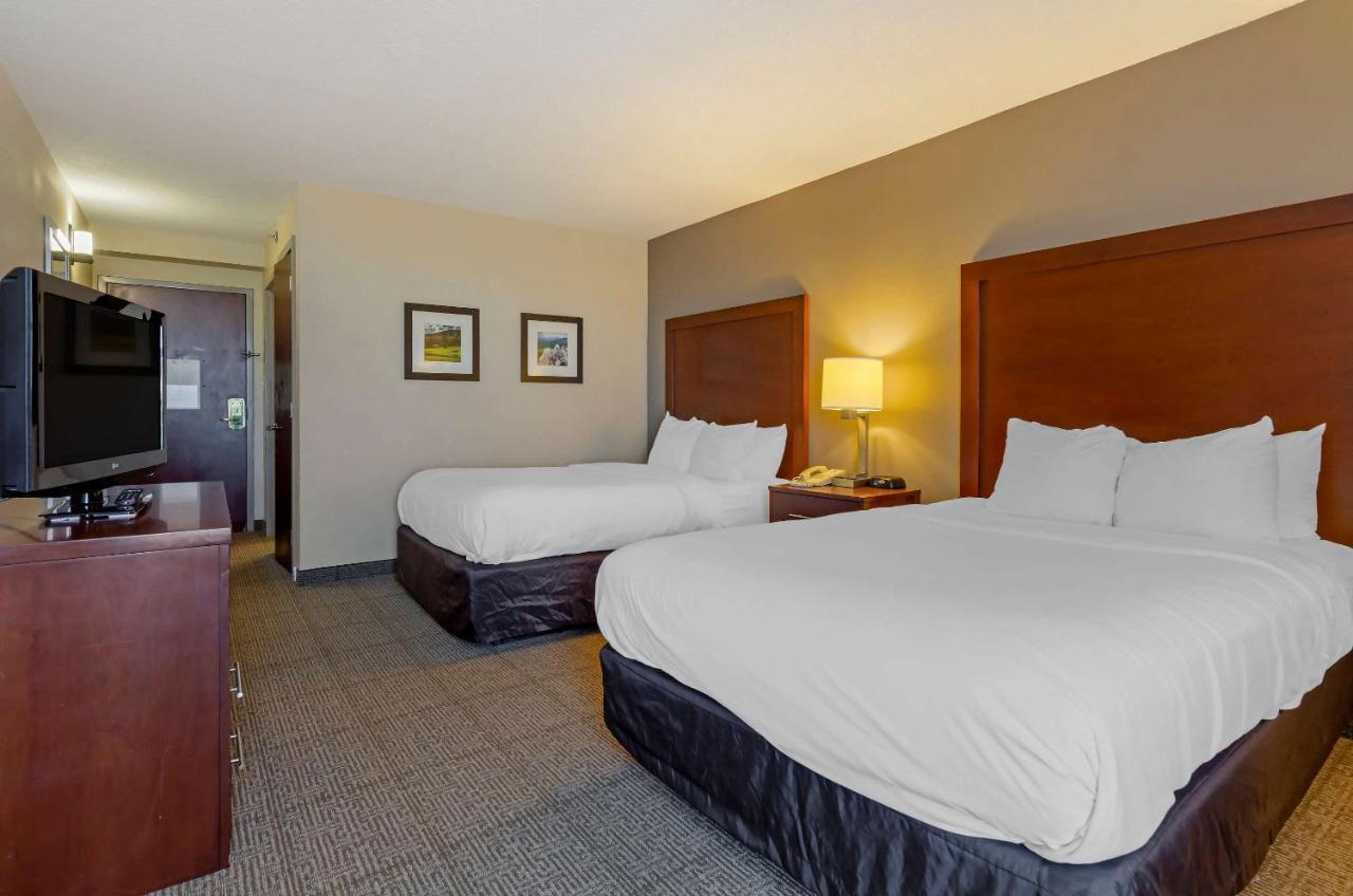 Comfort Area Blacksburg